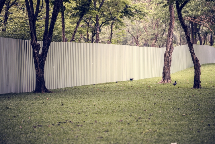 Fence Laws in Texas: Who Pays When Boundaries Are Disputed?